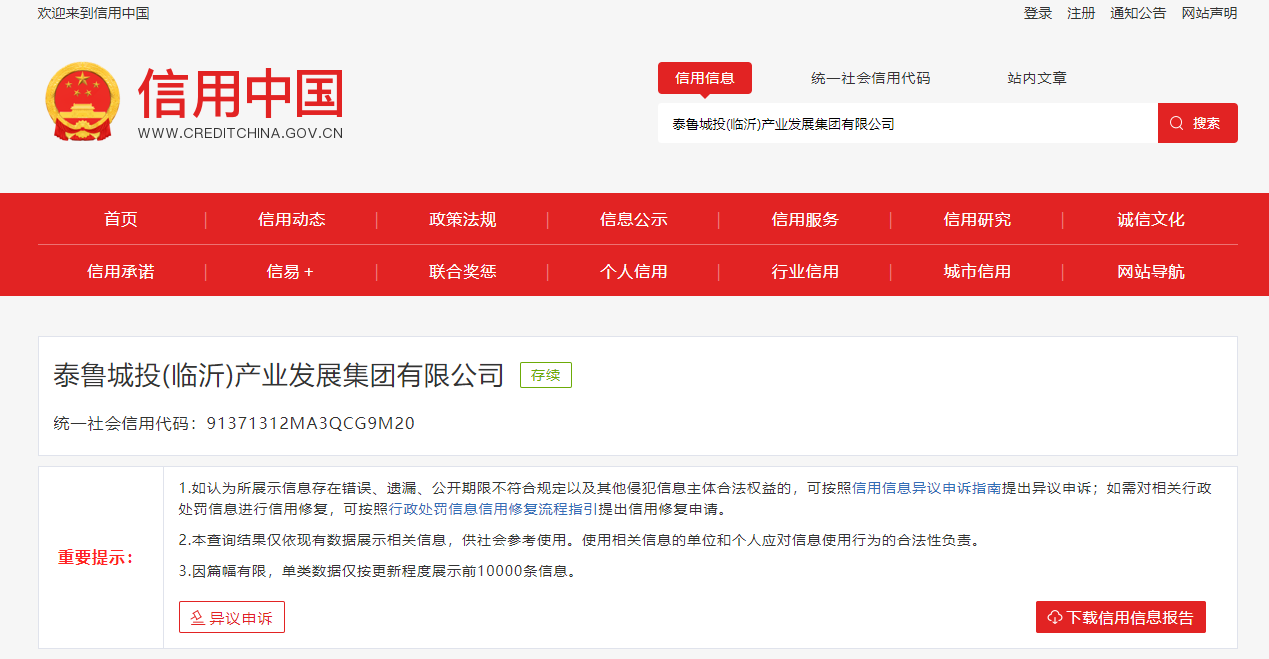 发布虚假广告，泰鲁城投(临沂)产业发展集团有限公司被罚100万元